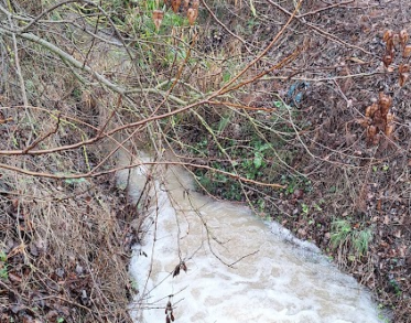 Ruisseau à Laurabuc